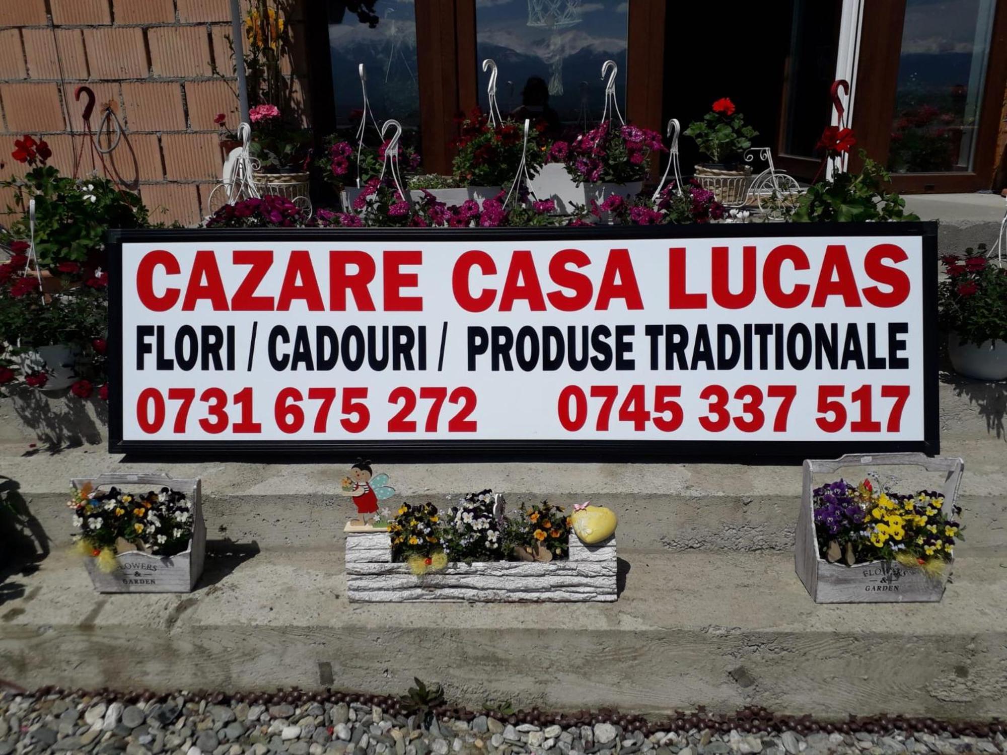 Casa Lucas Hotel Fenyőfalva Kültér fotó